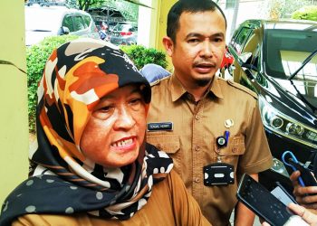 bappeda akan buat sumur biopori