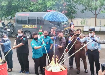 BNN Kota Cilegon Musnahkan 15 Kg Ganja