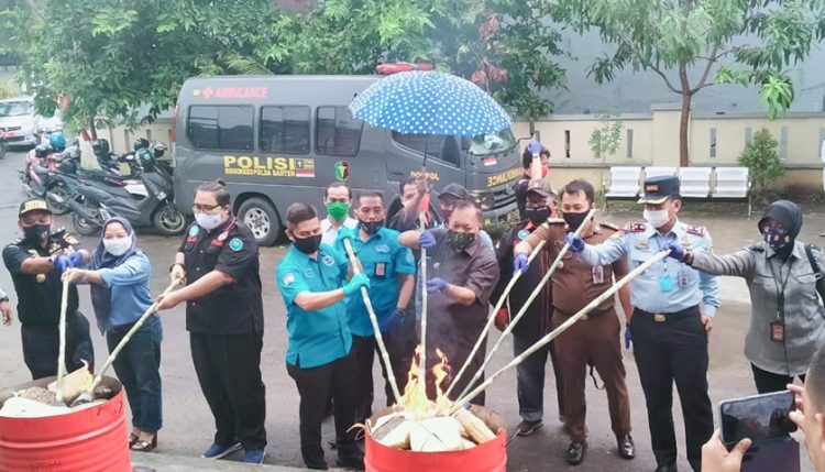 BNN Kota Cilegon Musnahkan 15 Kg Ganja