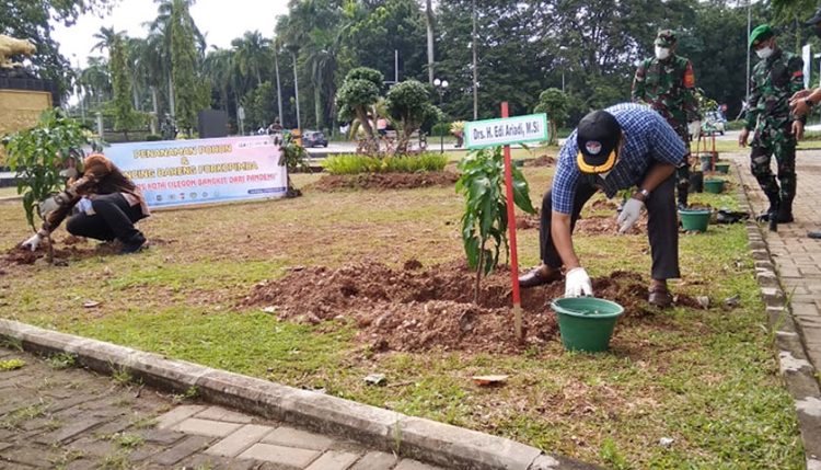 Peringati HPN, Wartawan Cilegon Tanam dan Bagikan Ribuan Pohon