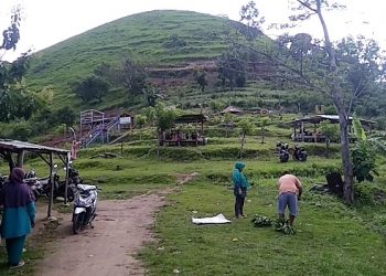 Menikmati Keindahan Bukit Teletubbies, Awas Terhipnotis