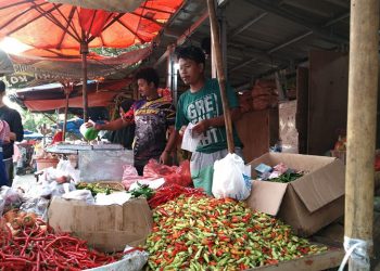 Harga Cabai Rawit Merah Naik 100 Persen