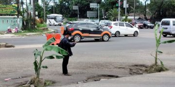 Di Cilegon Ada Pohon Pisang ‘Tumbuh’ di Tengah Jalan