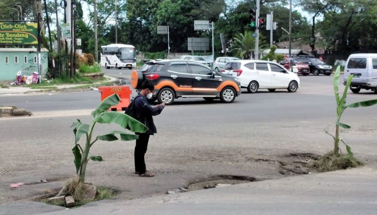 Di Cilegon Ada Pohon Pisang ‘Tumbuh’ di Tengah Jalan