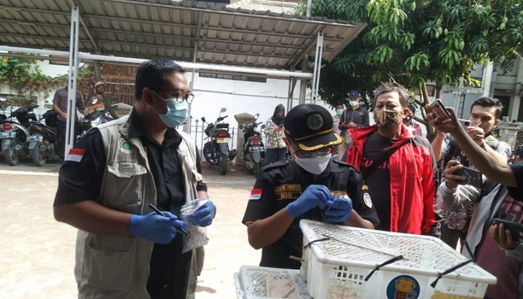 Polisi Gagalkan Penyelundupan Burung di Pelabuhan Merak