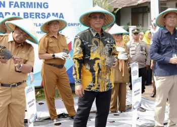 Wali Kota Cilegon Minta Masyarakat Tanam Cabai