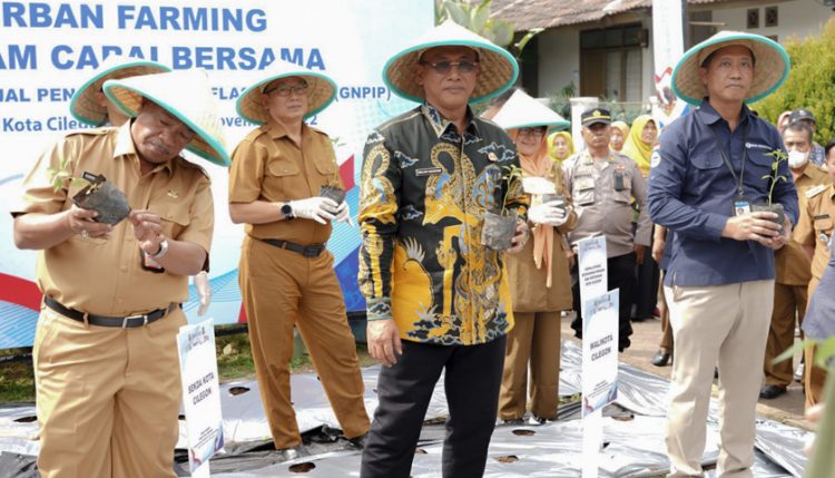Wali Kota Cilegon Minta Masyarakat Tanam Cabai