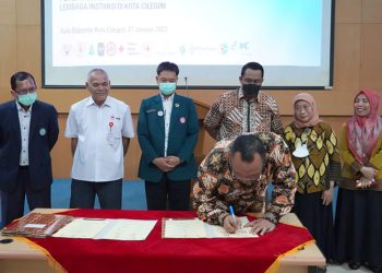 Helldy Ingin Turunkan Angka Kematian Ibu dan Bayi