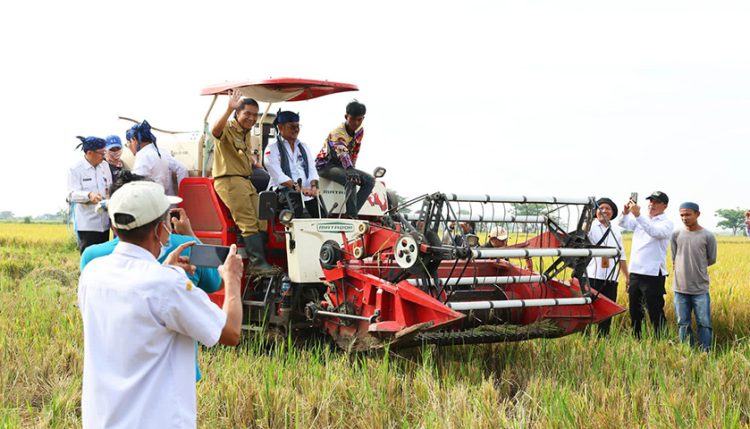 Jelang Puasa, Stok Beras di Banten Berlebih