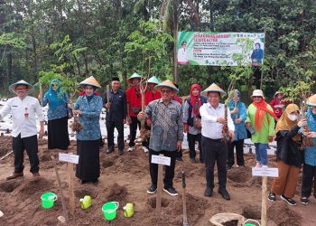 Demi Stunting Pemerintah Tanam Pohon “Pengusir Setan”