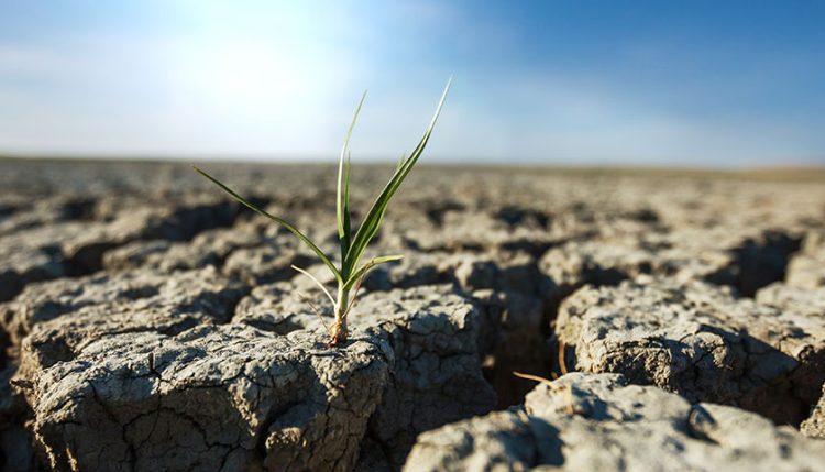 Pemkot Cilegon Akan Gelar Shalat Istisqa
