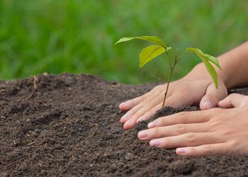 Industri Diimbau Bantu Penghijauan di Kota Cilegon