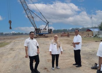 Pemerintah Setop Pembangunan PT Wankai Advanced Materials